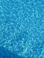 IMG_3055.jpeg