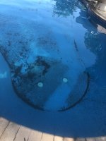 IMG_2257.jpeg