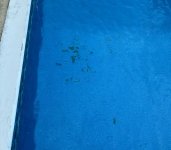 IMG_0289.jpeg