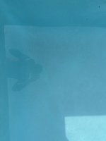 IMG_1157.jpeg