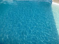 IMG_5696.jpeg