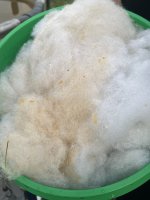IMG_7665.jpeg