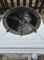 IMG_0151.JPG