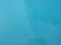 IMG_1209.jpeg
