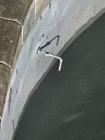 IMG_6220.JPEG