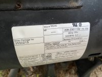 IMG_2594.jpeg