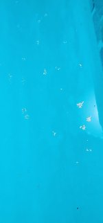20240607_141237.jpg