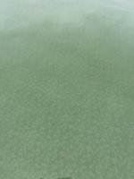IMG_7738.jpeg