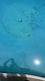 IMG_2797.jpeg IMG_2797.jpeg