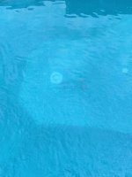 IMG_20240609_092737.jpg