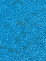 IMG_7225.jpeg IMG_7225.jpeg