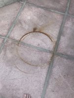 IMG_2344.jpeg