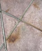 IMG_2343.jpeg