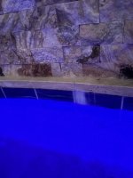IMG_6603.jpeg