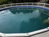 IMG_7686.jpeg