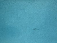 IMG_4615.jpeg
