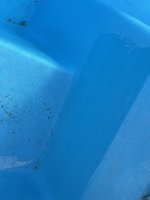 IMG_7415.jpeg
