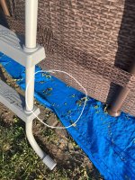 IMG_1218.jpeg