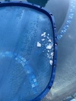 IMG_3162.jpeg IMG_3162.jpeg