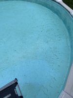 IMG_6350.jpeg IMG_6350.jpeg