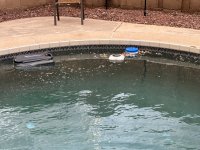 IMG_7142.jpeg