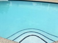 IMG_2871.jpeg