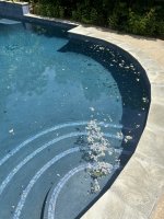IMG_5033.jpeg IMG_5033.jpeg