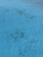 IMG_5327.jpeg