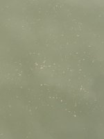 IMG_3249.jpeg