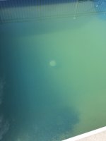 IMG_3257.jpeg