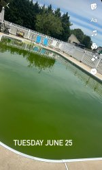 IMG_8154.jpeg IMG_8154.jpeg