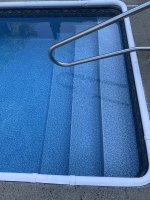 IMG_2035.jpeg