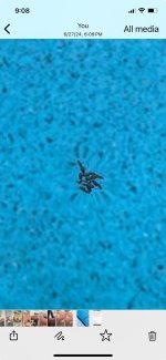 24f74212-24dc-4bb6-934b-bfd71ca05fb4.jpeg