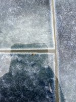 IMG_3315.jpeg