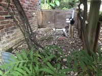 IMG_1474.jpeg