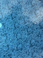 IMG_2741.jpeg