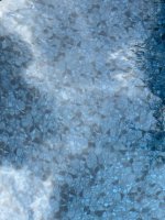 IMG_2744.jpeg