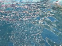 IMG_3887.jpeg