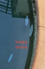 IMG_2315.jpeg