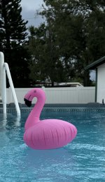 IMG_2012.jpeg
