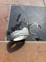IMG_3550.jpeg