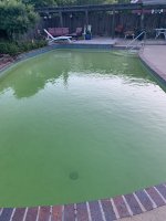 IMG_9590.jpeg