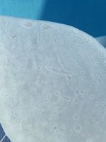 IMG_1805.jpeg