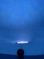 IMG_2099.jpeg