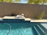 IMG_8871.jpeg
