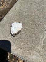 IMG_5254 Medium.jpeg