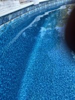 IMG_7955.jpeg