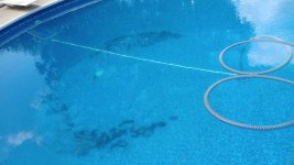 POOL_CLEAR_WATER_FLOOR_DEBRIS_07_06_2024.jpg