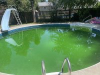 IMG_4399.jpeg