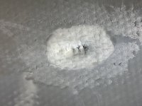 IMG_4573.jpeg